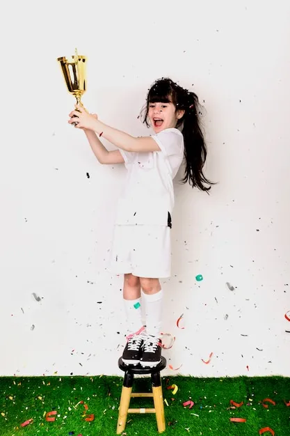 观赛人群与场景示意